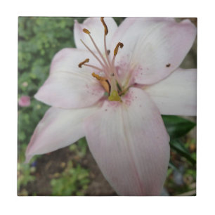 Carreau Tuile rose de lis