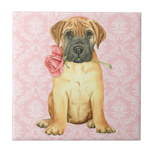 Carreau Tuile Rose Valentine Bullmastiff