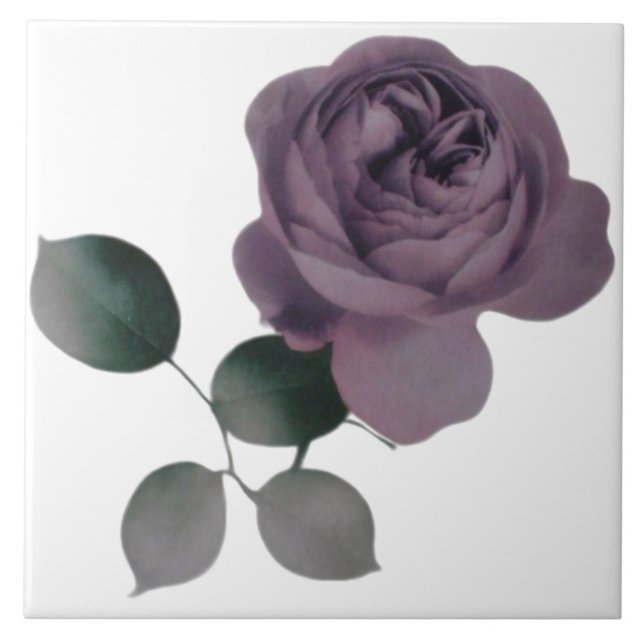 Carreau Tuile Rose violet (Devant)