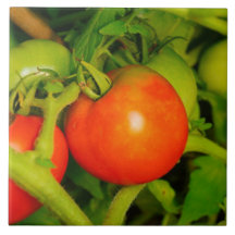 Tuile/trépied de rougissement de cuisine de