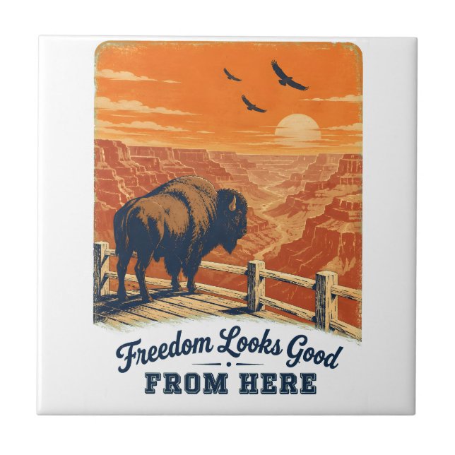 Carreau Tuiles de Canyon Freedom Looks Good (Devant)