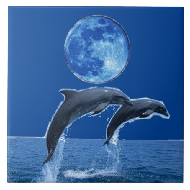 Carreau Tuiles de dauphin (Devant)