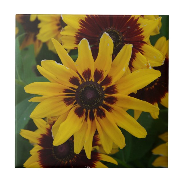 Carreau Tuiles de fleurs Brown jaunes (Devant)