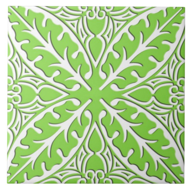 Carreau Tuiles marocaines - vert et blanc de chaux (Devant)