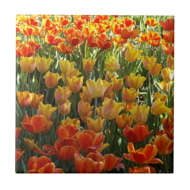 Carreau Tulière en céramique orange et jaune (Devant)