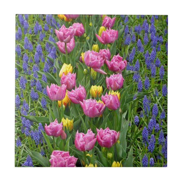 Carreau Tulières à ressort rose et jaune (Devant)