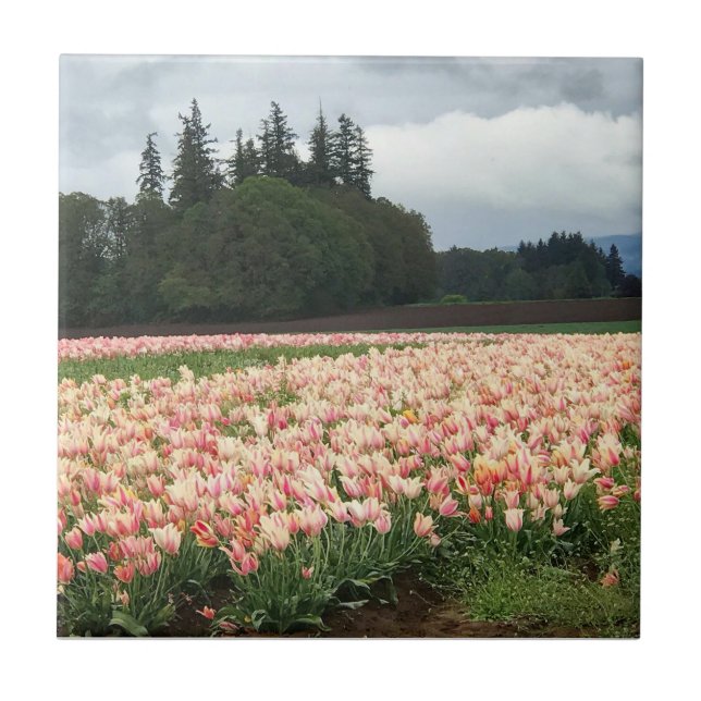 Carreau Tulip (Devant)