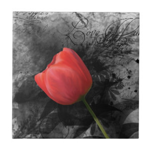 Carreau Tulipe rouge