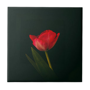 Carreau Tulipe rouge simple