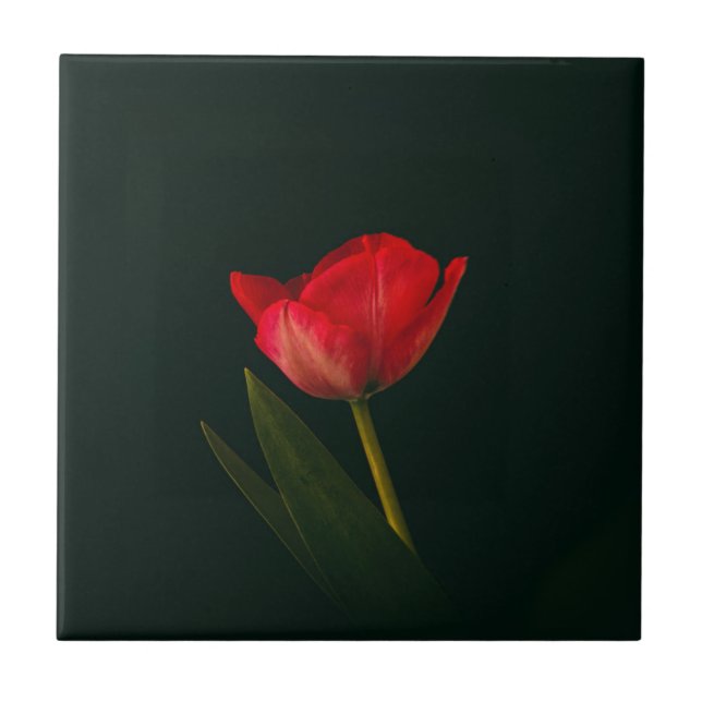 Carreau Tulipe rouge simple (Devant)