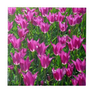 Carreau Tulipes à ressort pourpre