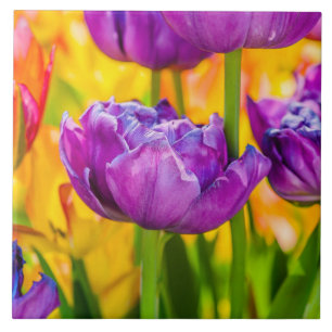 Carreau Tulipes Enchantant rose profond