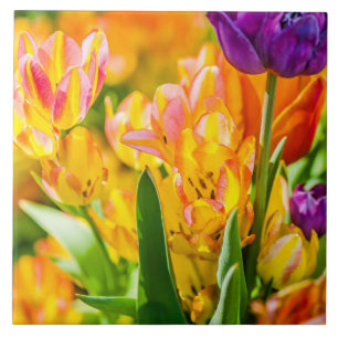Carreau Tulipes Enchanter 01