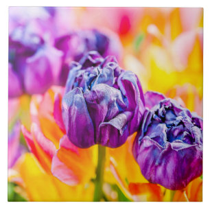 Carreau Tulipes Enchanter 14