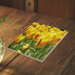 Carreau Tulipes jaunes avec fleurs rouges rayées