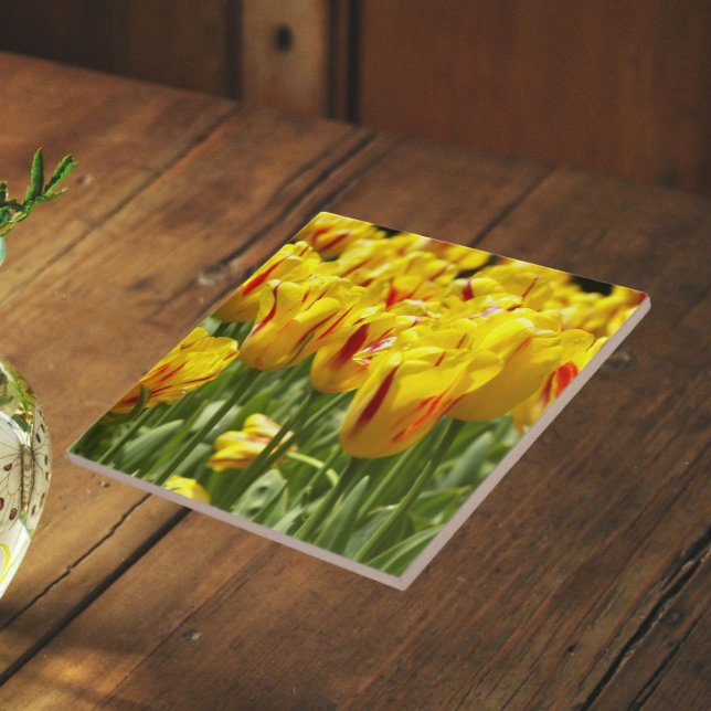 Carreau Tulipes jaunes avec fleurs rouges rayées (In Situ)