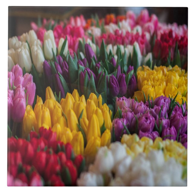 Carreau Tulipes multicolores (Devant)