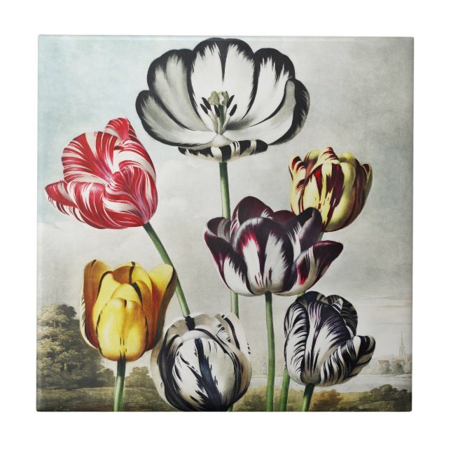 Carreau Tulipes multicolores de style Régence lunatique (Devant)