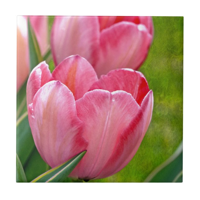 Carreau Tulipes roses (Devant)