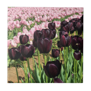 Carreau Tulipes violettes foncées et roses