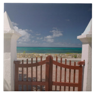 Carreau Turks and Caicos, île de Grand Turk, Cockburn 5