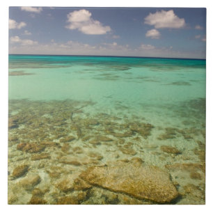 Carreau Turks et Caïcos, Grand Turk Island, Cockburn 2