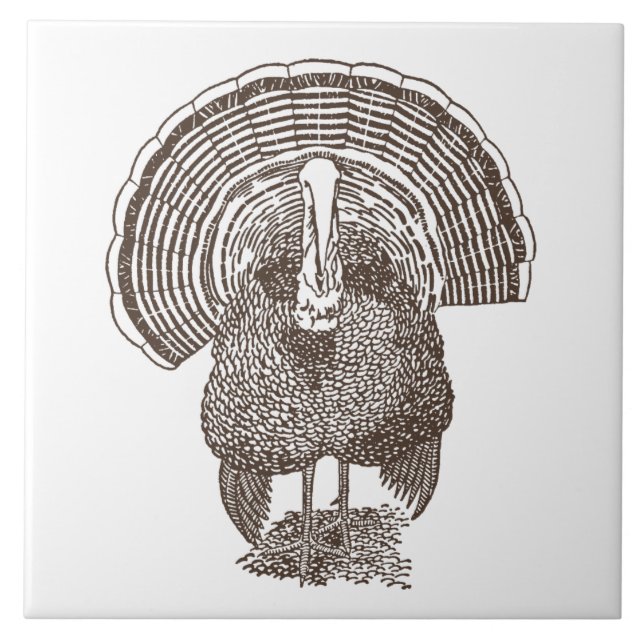 Carreau Turquie (Devant)