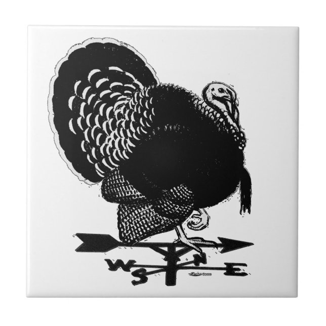 Carreau Turquie Weathervane (Devant)