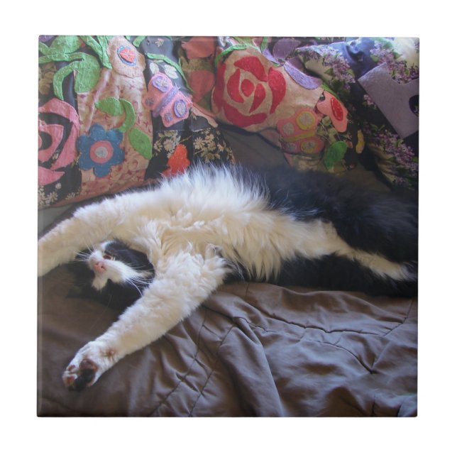 Carreau Tuxedo Chat Funny Mexicaine Vague Cute Anniversair (Devant)