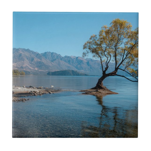 Carreau Un arbre dans un lac (Devant)