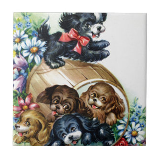 Carreau Un baril de chiots