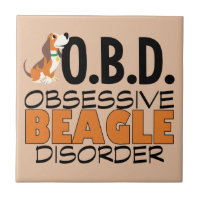 Un Beagle drôle observé