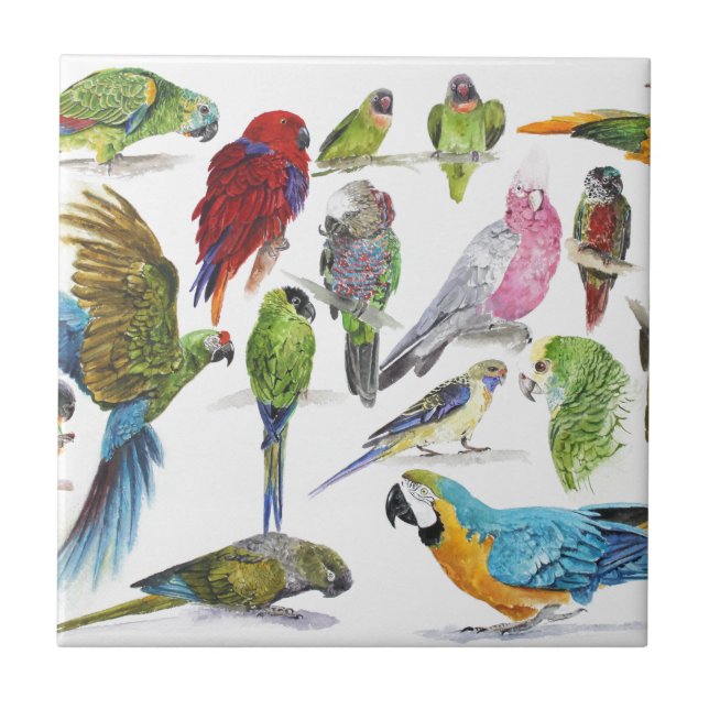 Carreau Un bon nombr'et un bon nombre de perroquets sur (Devant)