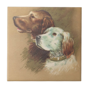 Carreau Un brun et un chien blanc