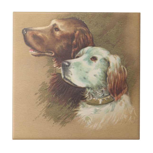 Carreau Un brun et un chien blanc (Devant)
