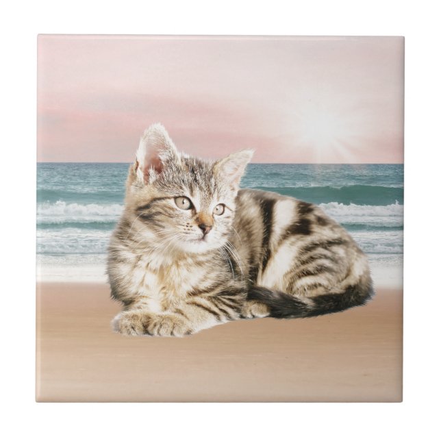 Carreau Un chat rayé plus mignon assis sur la plage au cou (Devant)
