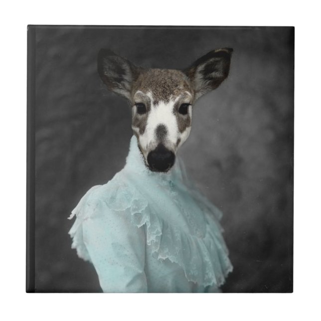 Carreau Un Cher Visage De Cerf (Devant)