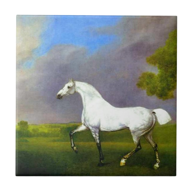 Carreau Un cheval gris par George Stubbs (Devant)