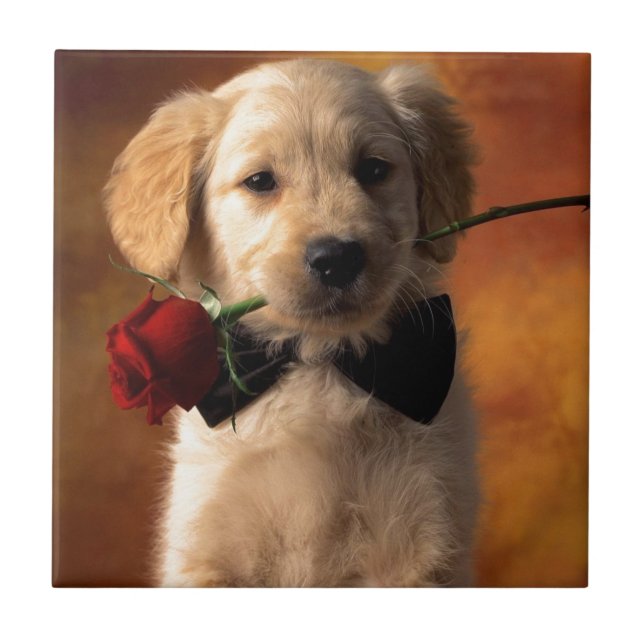 Carreau Un chien avec une fleur (Devant)