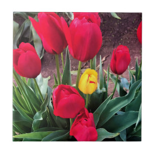 Carreau Un Jaune aux tulipes rouges