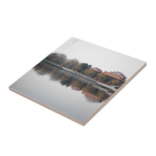 Carreau Un parc zoologique à Wuhan, en Chine. Style chinoi