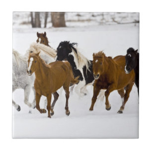 Carreau Un paysage hivernal de chevaux au galop