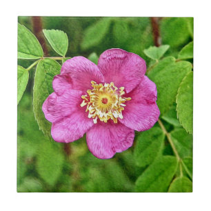 Carreau Un Rose sauvage