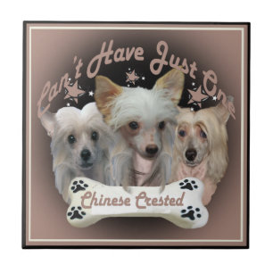 Carreau Un seul carrelage pour les Chinois arrêtés