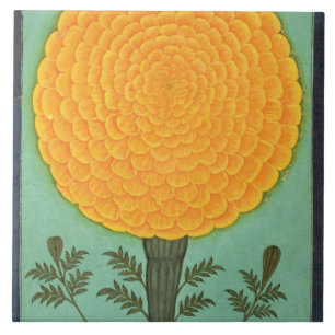 Carreau Un souci, du petit album de Clive (la semaine sur