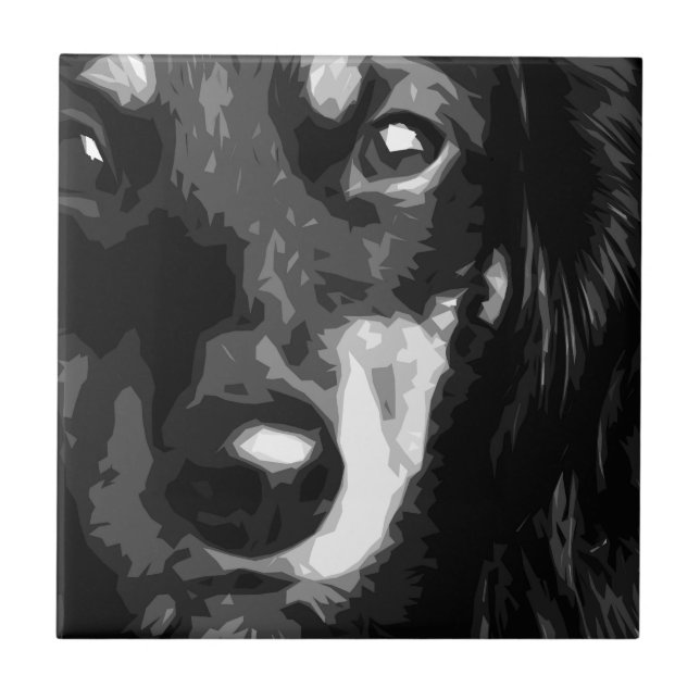 Carreau Un teckel miniature noir et blanc (Devant)