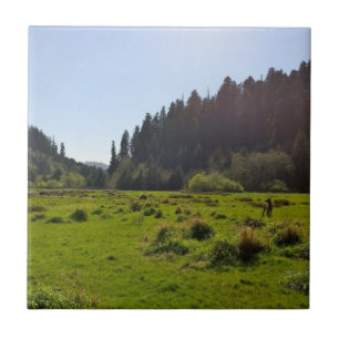 Carreau Un troupeau de cerfs dans un grand beau défrichage