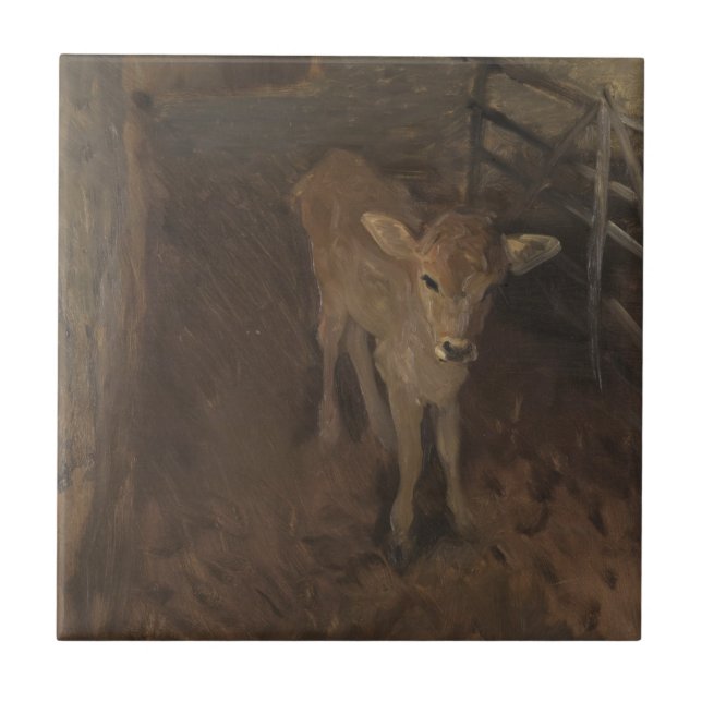 Carreau Un veau du Jersey (Devant)