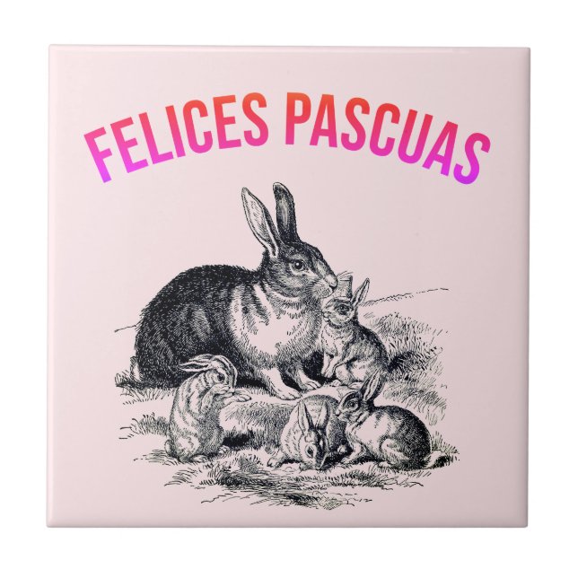 Carreau Une famille de lapins - Felices Pascuas (Devant)