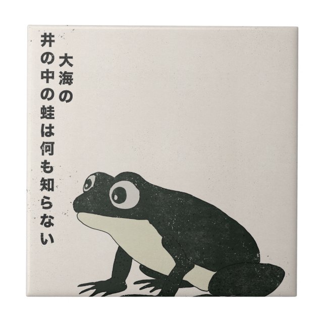 Carreau Une grenouille dans un puits ne connaît rien de la (Devant)